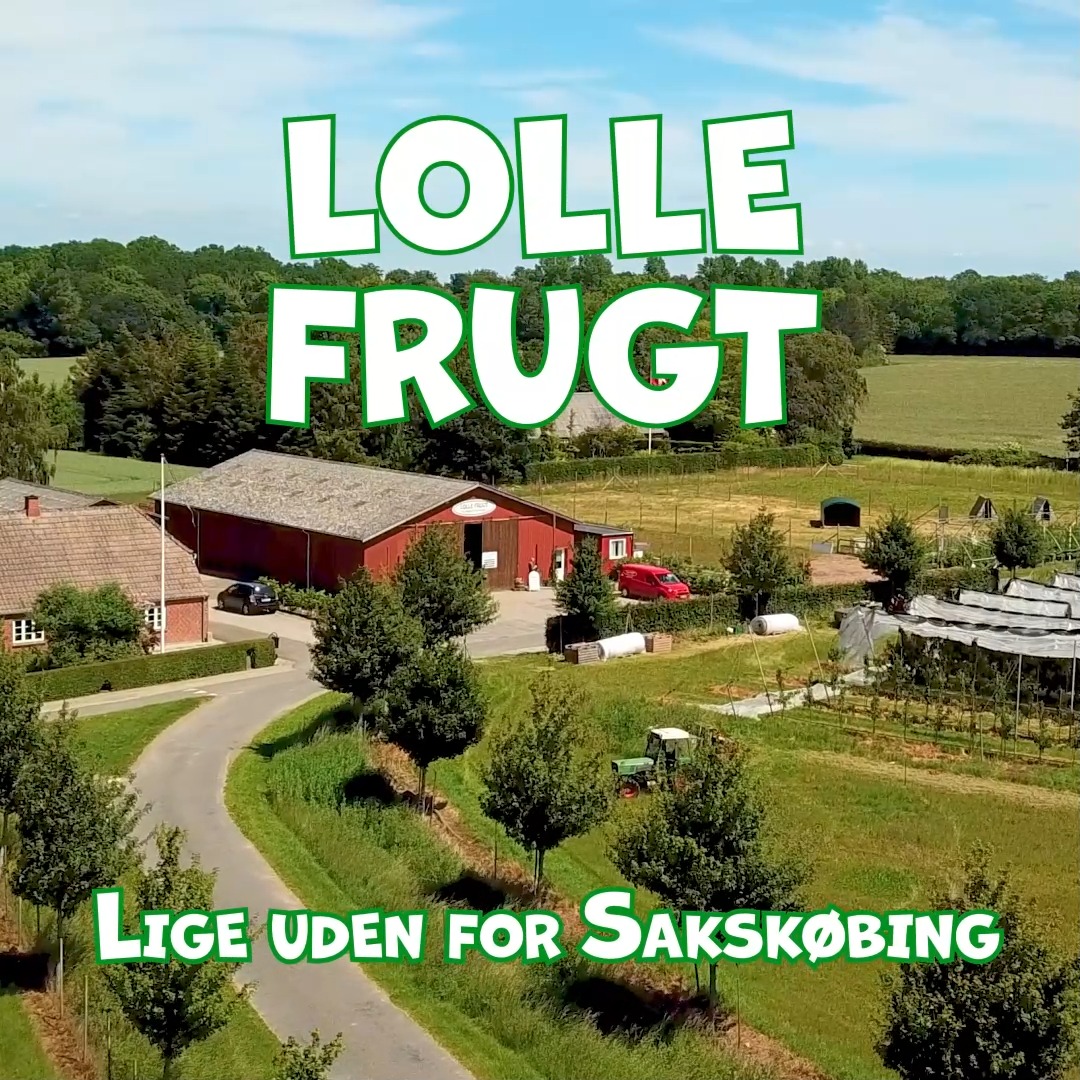 Lolle Frugt