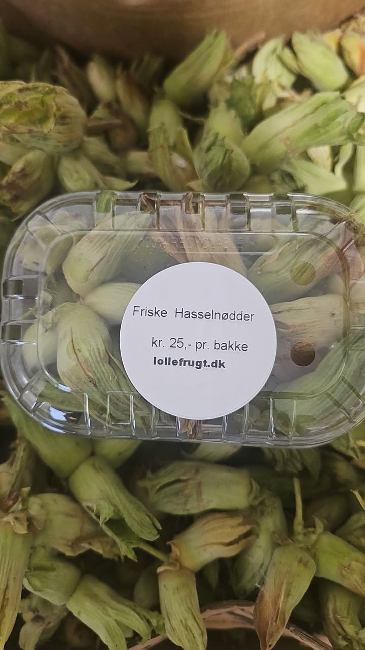 Lolle Frugt